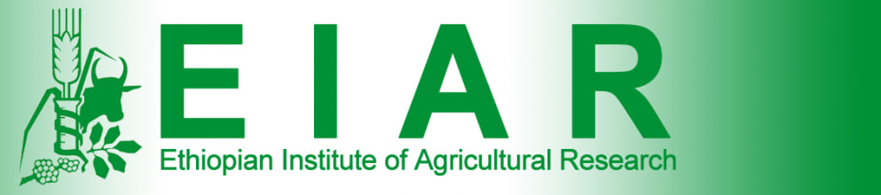 EIAR Logo