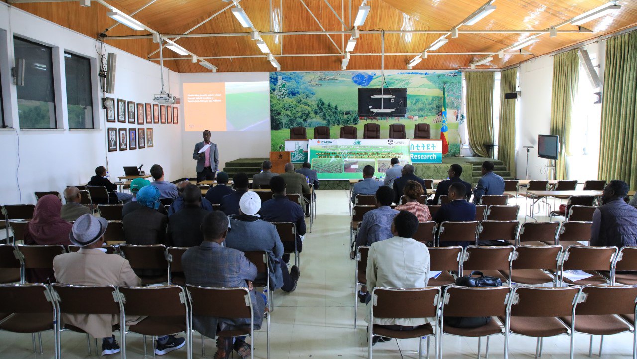 You are currently viewing Wheat Workshop Hosted