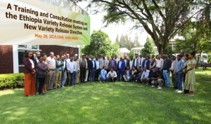 Read more about the article A Training and Consultation Meeting Held